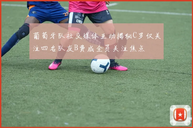 葡萄牙队社交媒体互动揭秘C罗仅关注四名队友B费成全员关注焦点